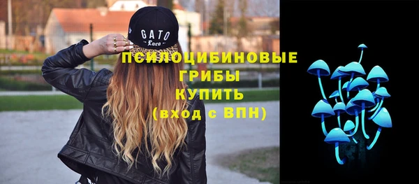 метадон Елизово