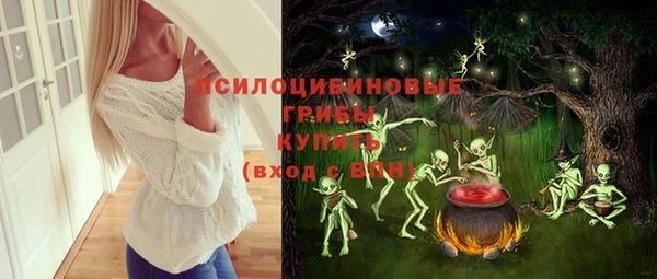 прущая мука Елабуга