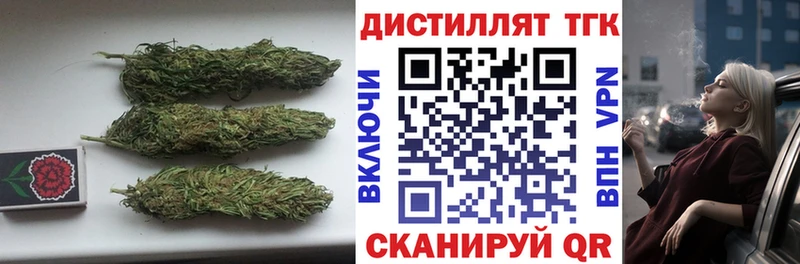 МЕГА как зайти  Зеленоградск  Дистиллят ТГК концентрат 