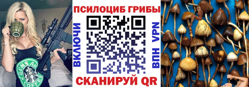 хочу наркоту  Зеленоградск  Галлюциногенные грибы MAGIC MUSHROOMS 